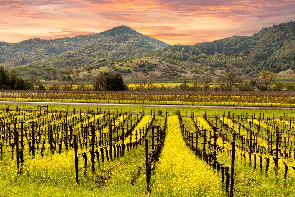 most picturesque wineries in napa