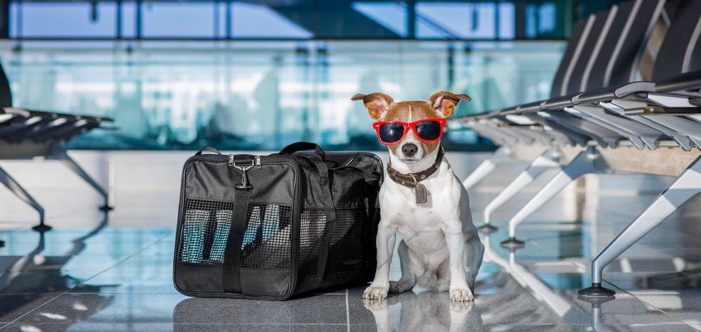 Pet Friendly Airports