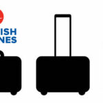 Turkish Airlines Baggage Fees