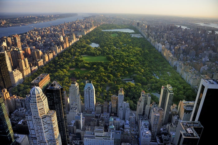 Central Park New York Central Park New York