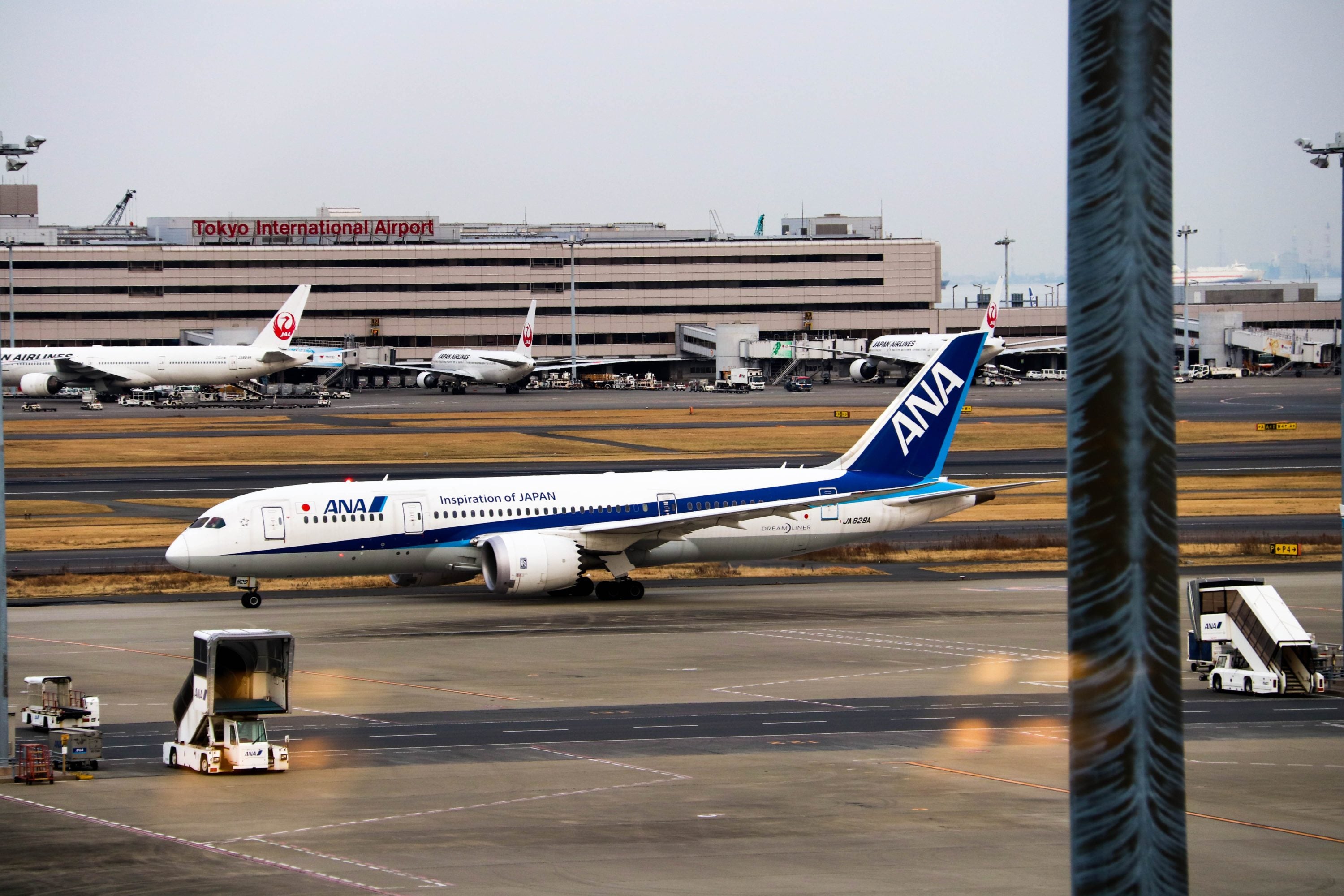 All Nippon Airways Jet