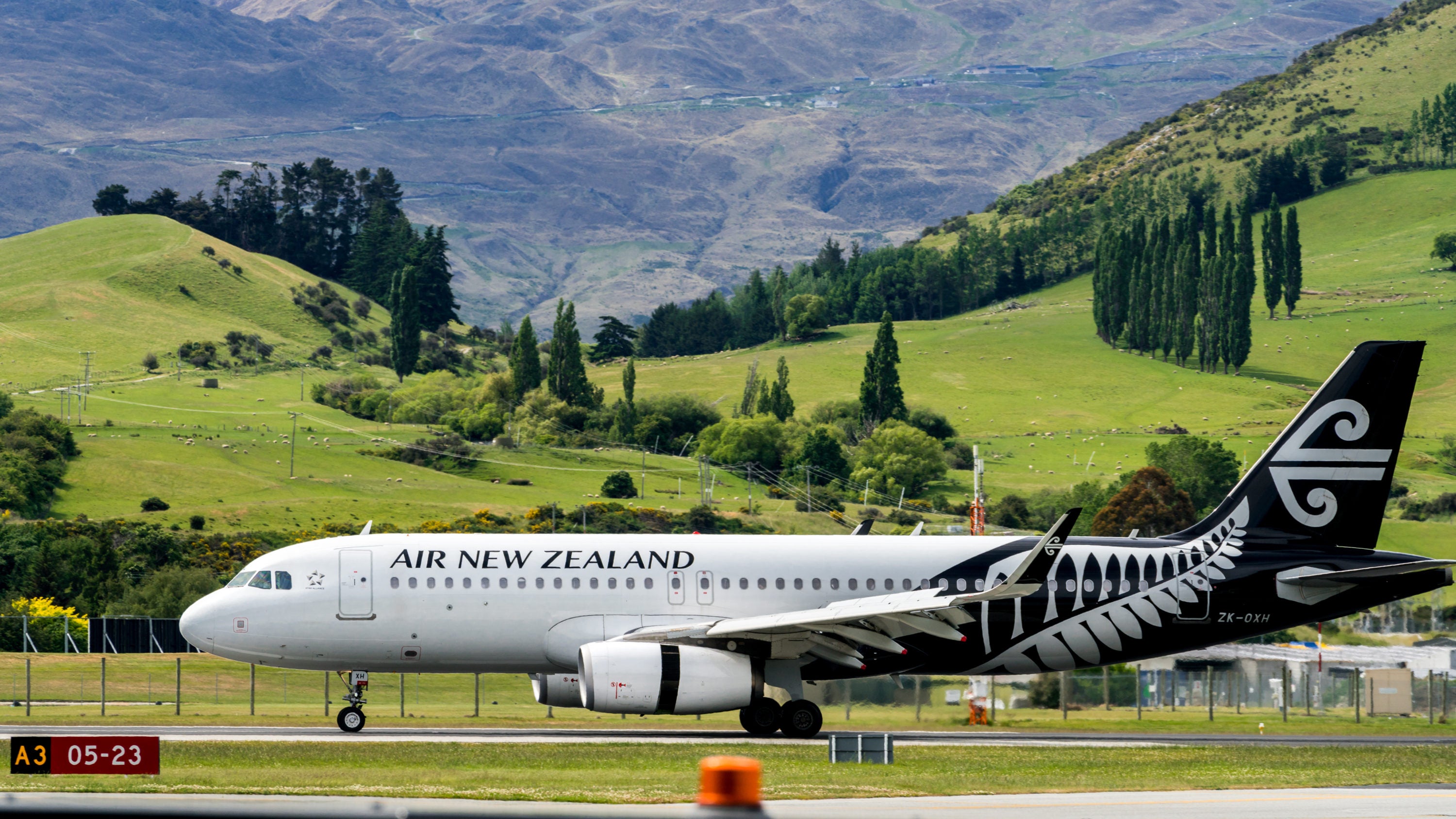 air new zealand add baggage