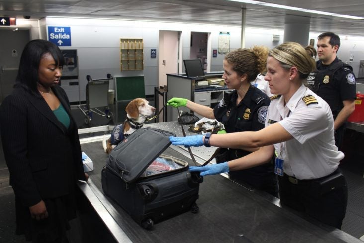 Perro de servicio del Aeropuerto CDC