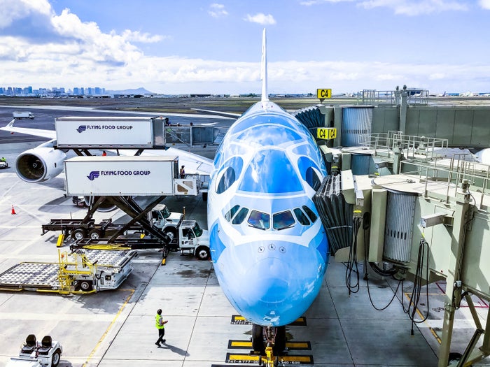 ANA A380 Flying Honu