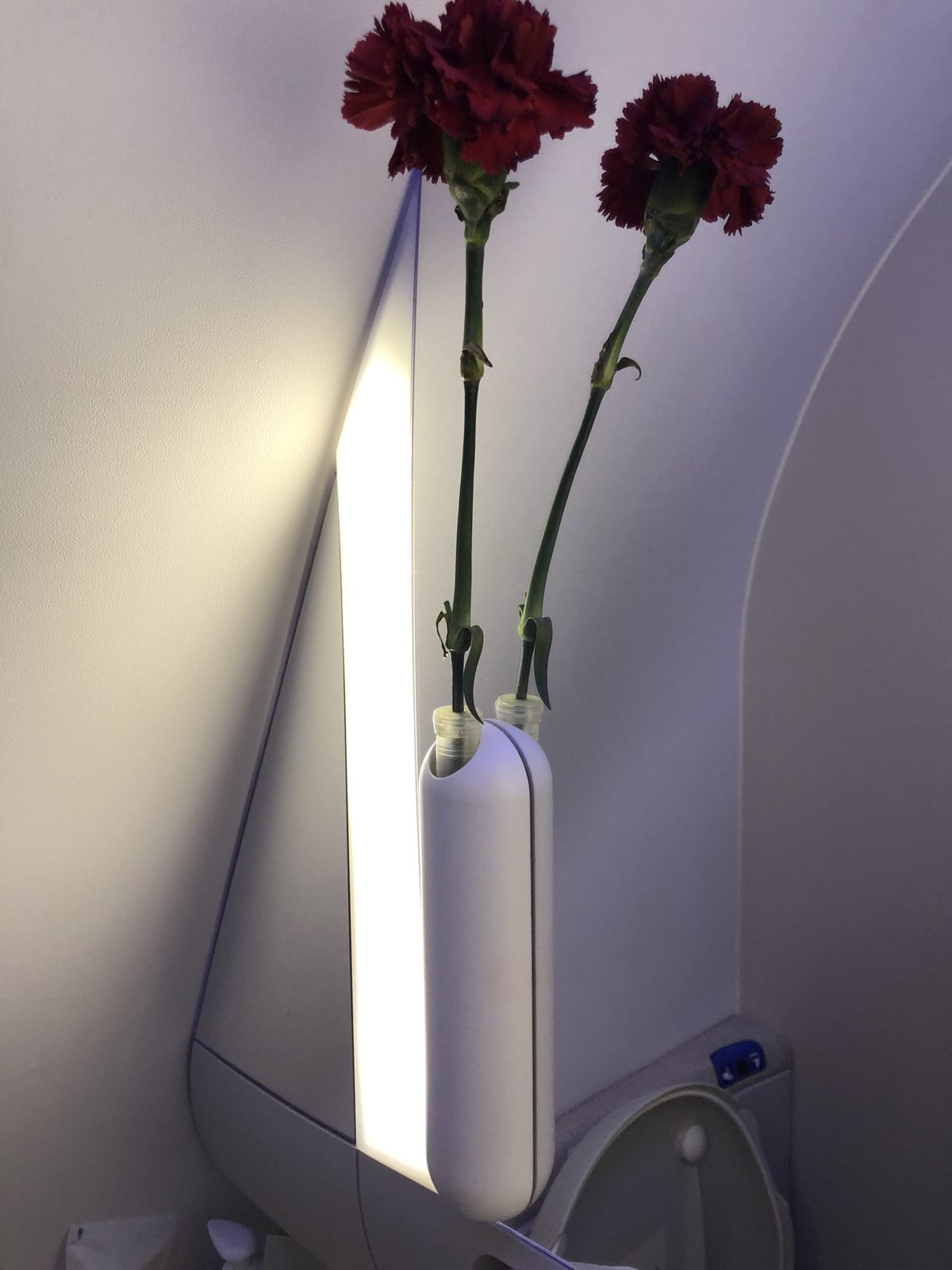 Vietnam Airlines 787-9 business class lavatory flowers