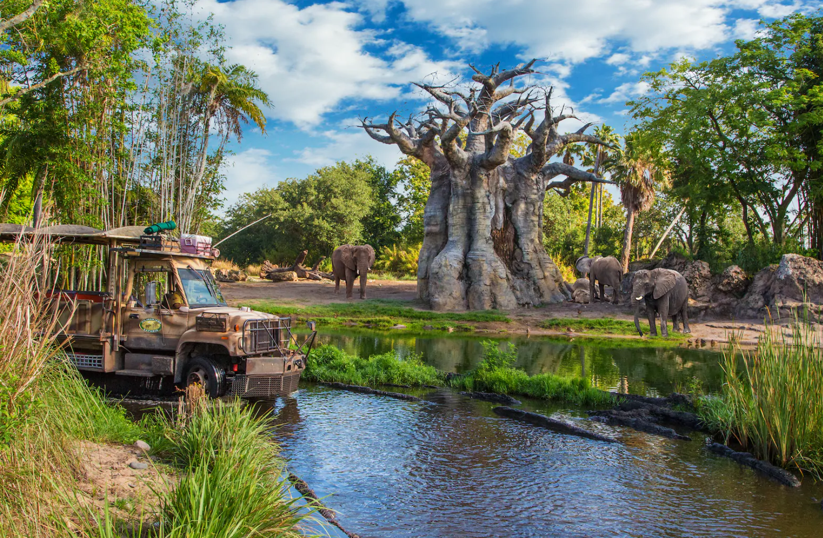 Disney Animal Kingdom Kilimanjaro Safaris Disney's Animal Kingdom