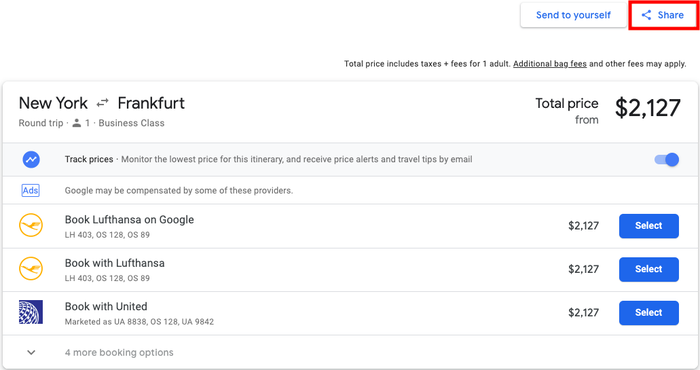 Google Flights Share Button