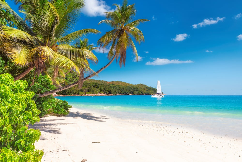 Paradise Island Jamaica 