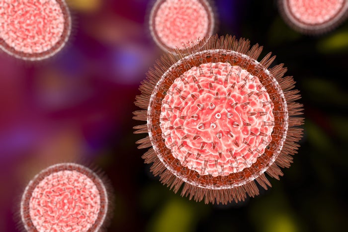 Zika Virus Illustration