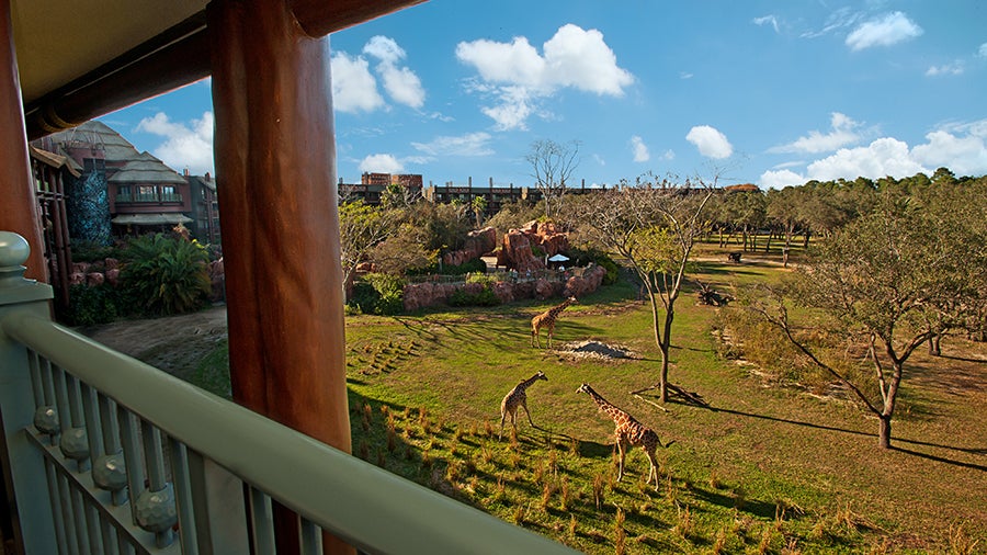 Disney Animal Kingdom Lodge Disney Animal Kingdom Lodge