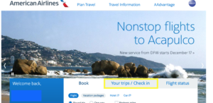 cancelling american airlines flight booked with miles cancelling american airlines flight booked with miles