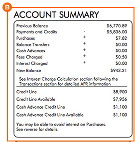 Account Summary Credit Card Statement