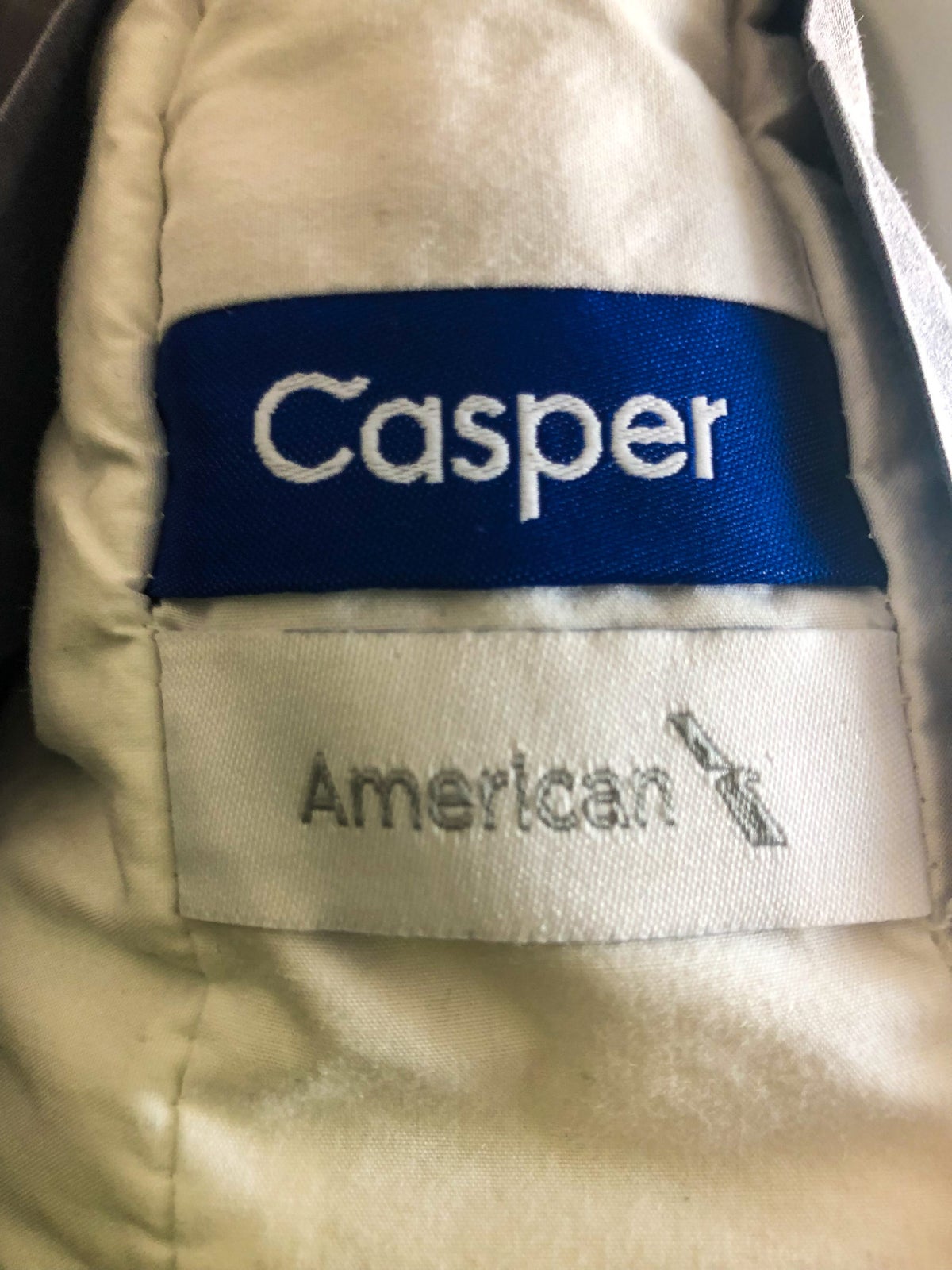 American Airlines 787-9 Flagship Business Class Casper logo