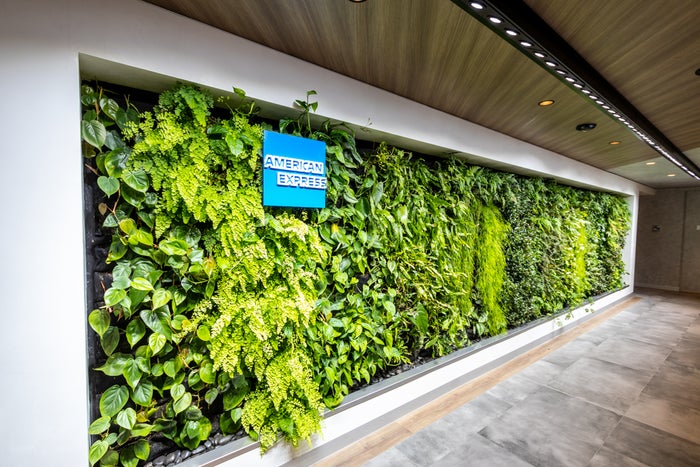 American Express Card Member lounge