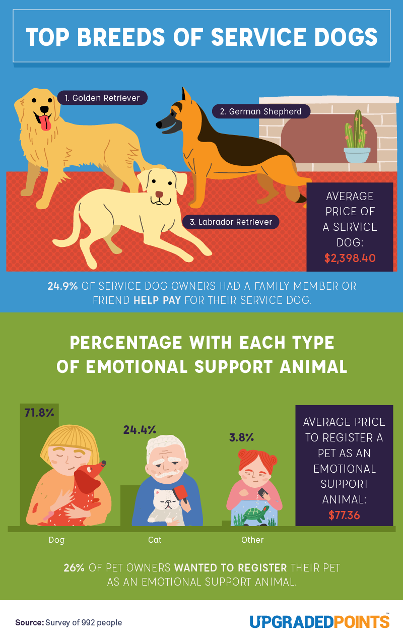 The Perceptions of Service Animals [An In-Depth Survey]