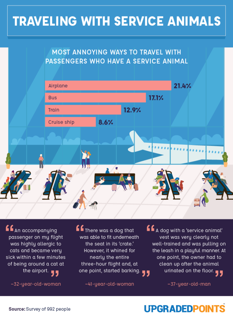 The Perceptions of Service Animals [An In-Depth Survey]