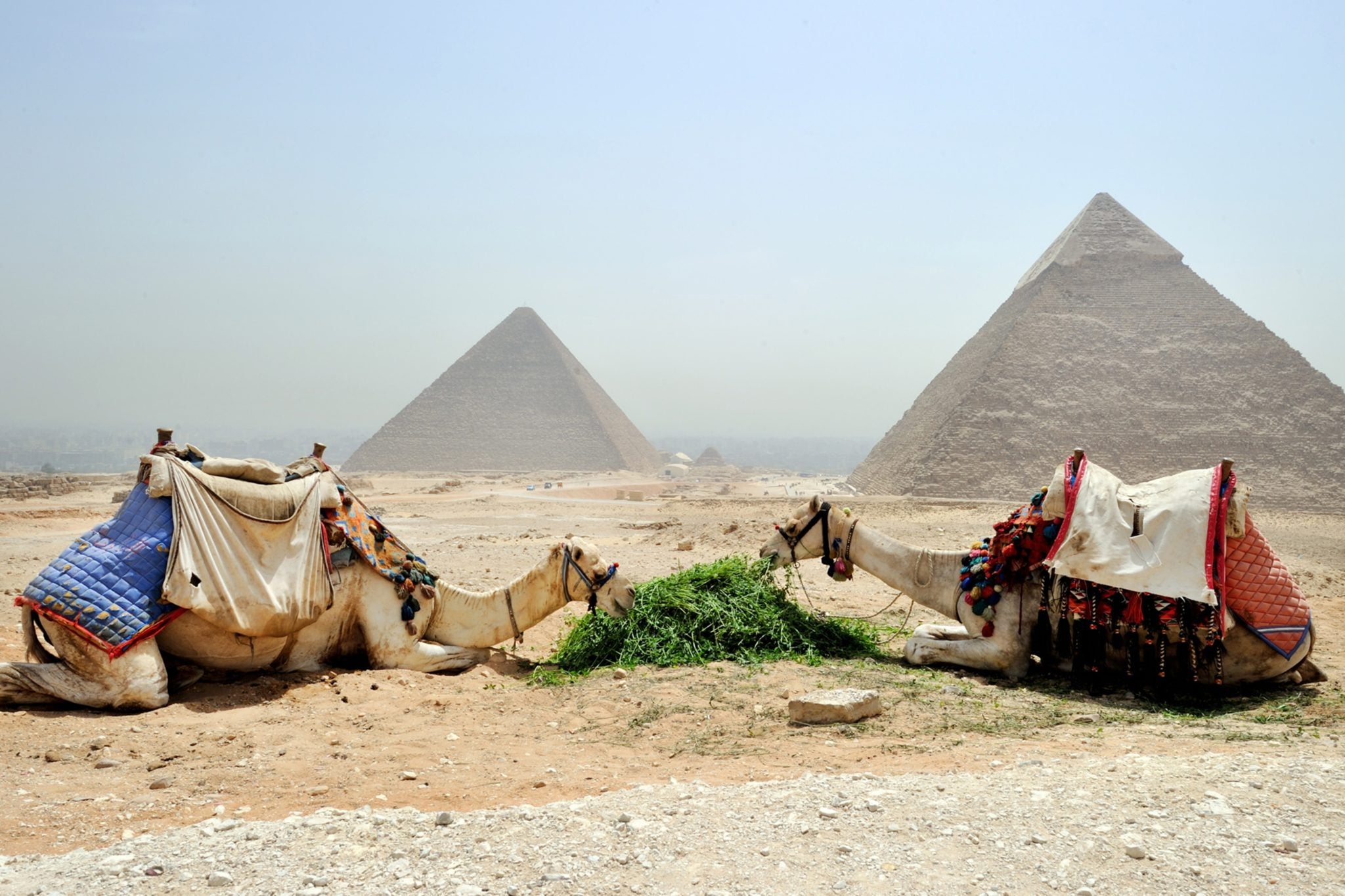 Egypt