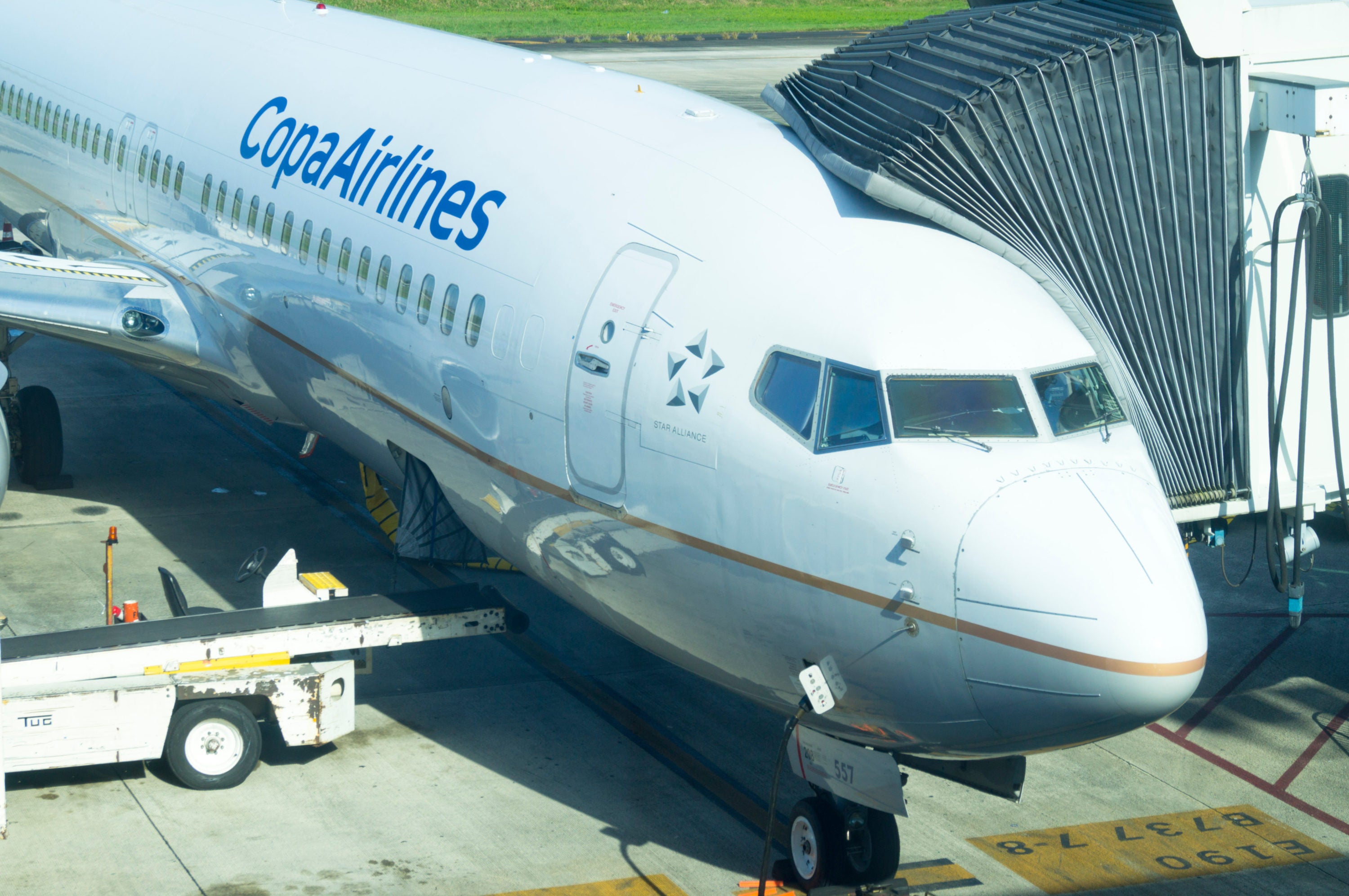 Copa airlines sales baggage weight