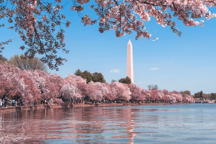 The Ultimate Guide to Washington, D.C. — Monuments, Memorials, Attractions, and More
