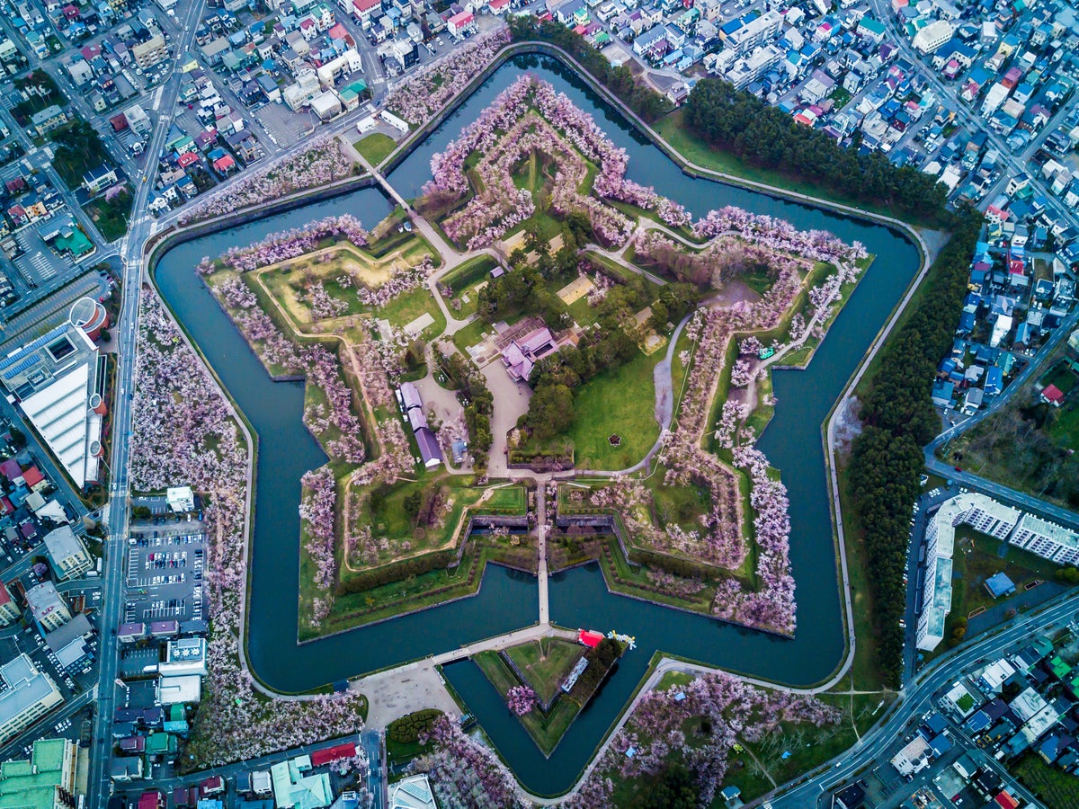 Aerial Top view of Fort Goryokaku with cherry blossom