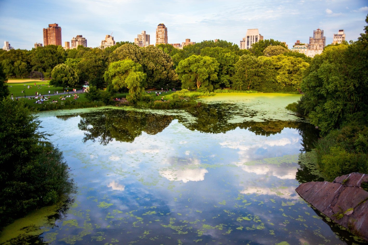 Central Park, New York City - Things To Do, Events & Attractions