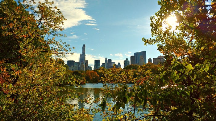 Central Park New York