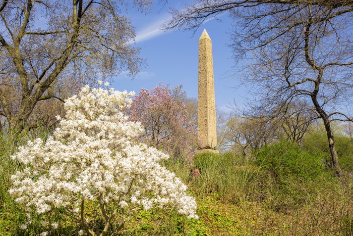 Cleopatras Needle in Central Park