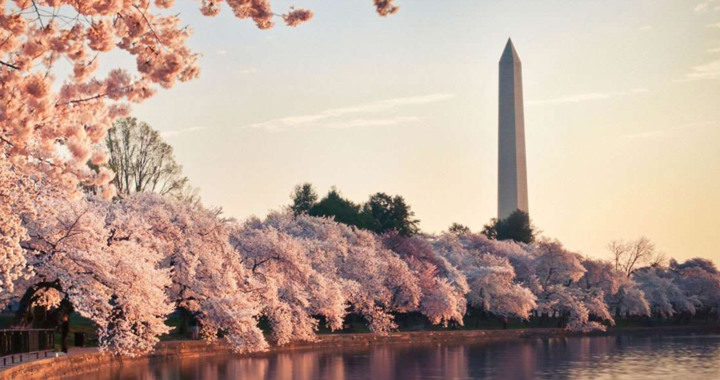 Grand Hyatt Washington DC Tidal Basin Grand Hyatt Washington DC Tidal Basin