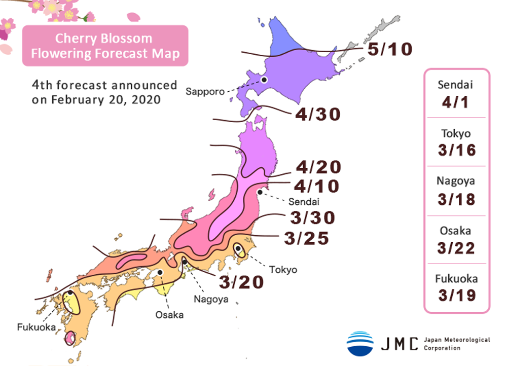 Japan Cherry Blossom Forecast 1 Japan Cherry Blossom Forecast 1