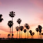 Venice Beach Los Angeles Sunset