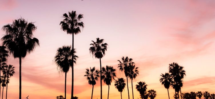 Venice Beach Los Angeles Sunset