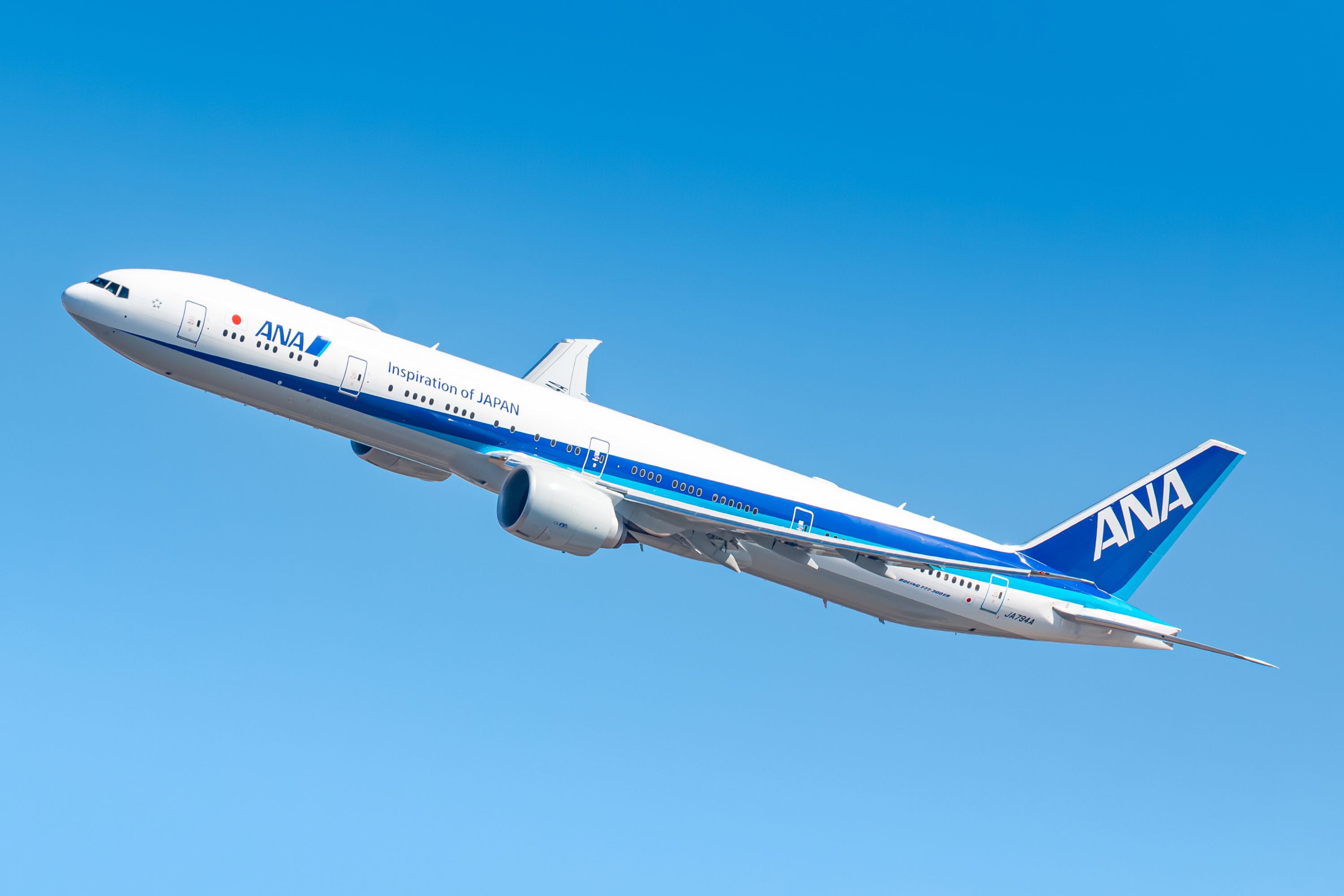 All Nippon Airways (ANA) Jet