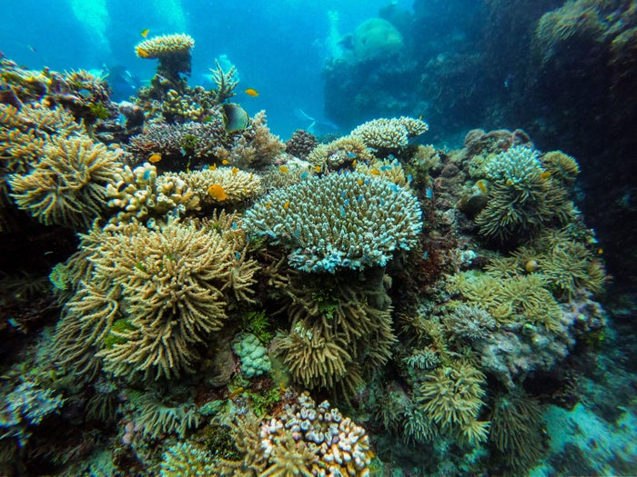 Great Barrier Reef