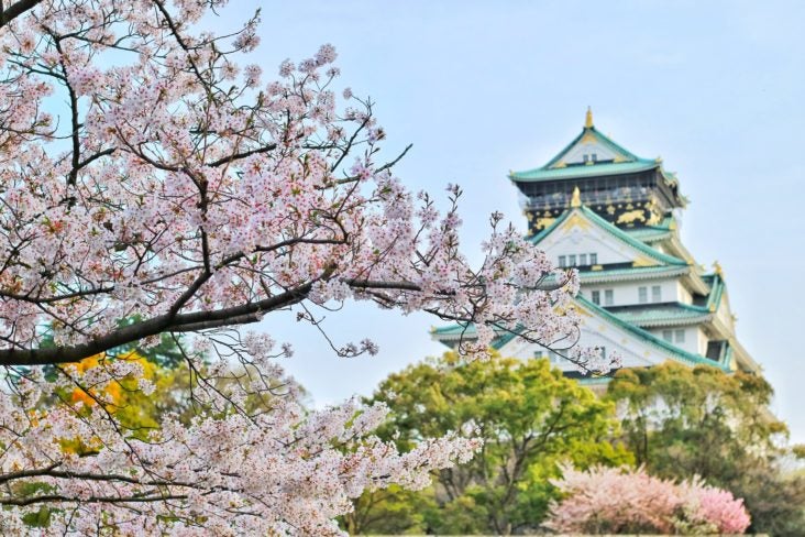 Cherry Blossoms in Osaka Japan Cherry Blossoms in Osaka Japan
