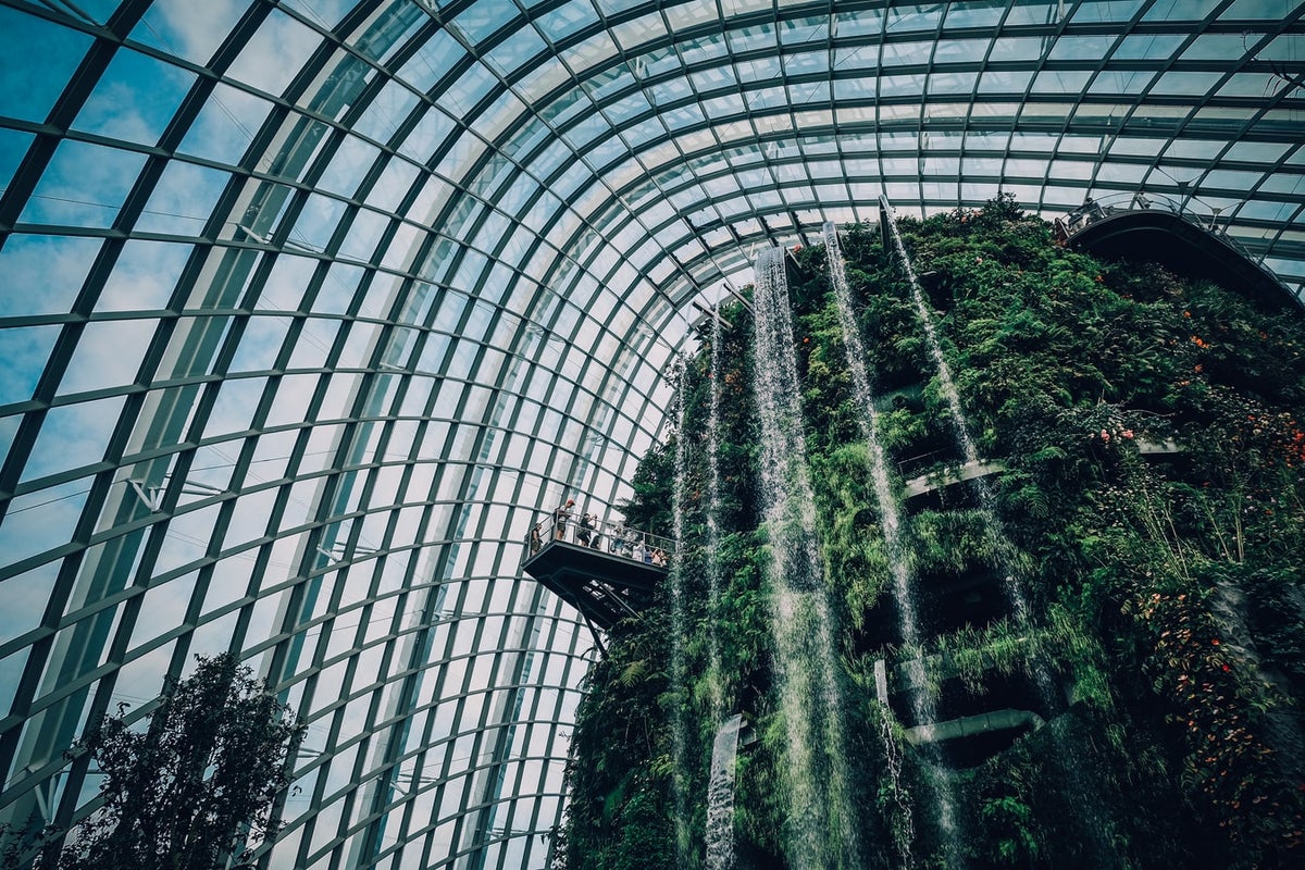Cloud Forest Dome Gardens By The Bay