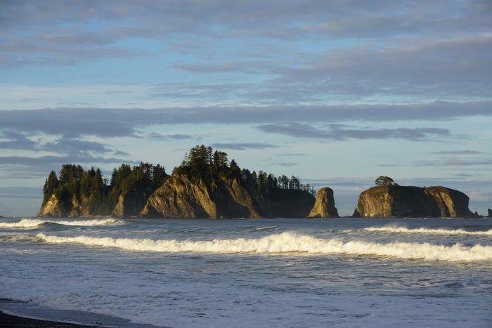 James Island off the Olympic Coast in Olympic National Park
