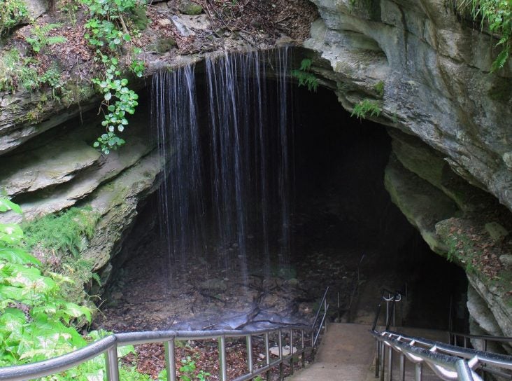 Mamoth Cave National Park Mamoth Cave National Park