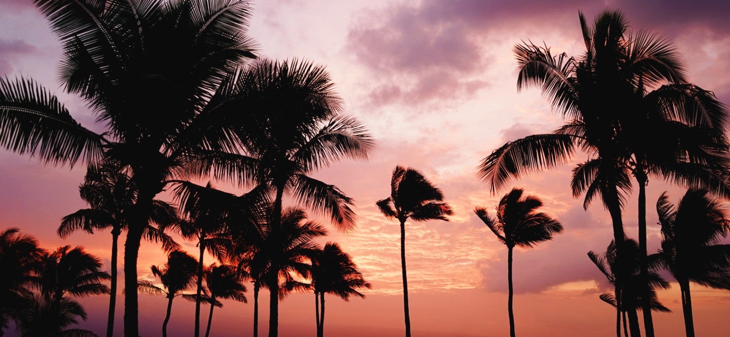 The Best Times To Visit Hawaii in 2022 [By Seasons & Islands]