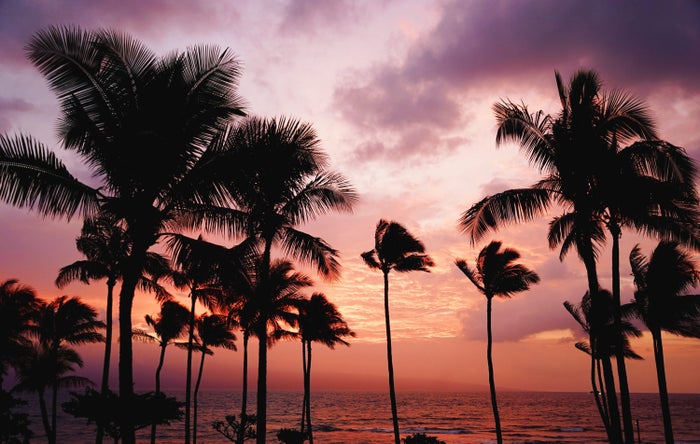 The Best Times To Visit Hawaii in 2025 [By Seasons & Islands]