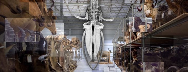 Natural History Museum London Natural History Museum London