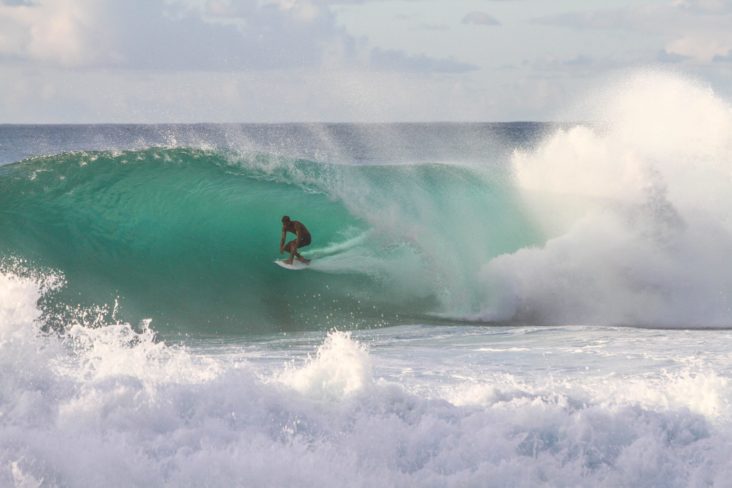 North Shore Surfer North Shore Surfer