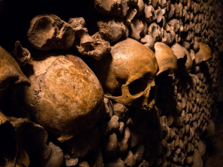 Paris Catacombs Paris Catacombs