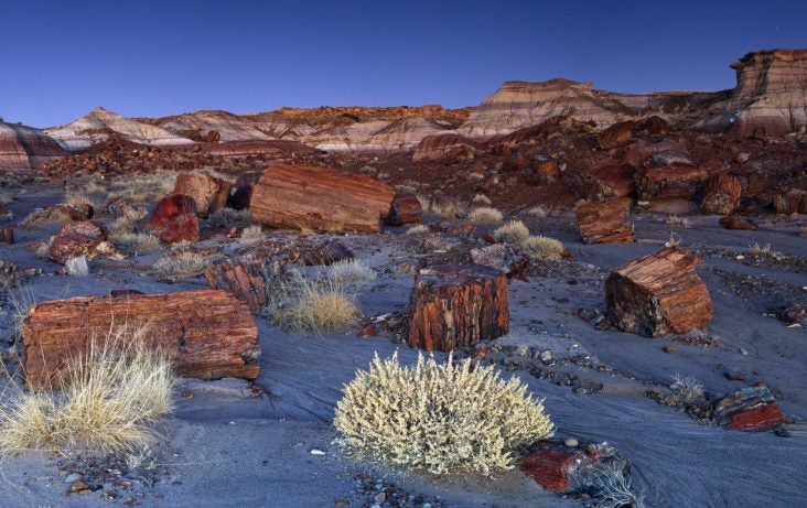 Petrified Forest National Park Petrified Forest National Park