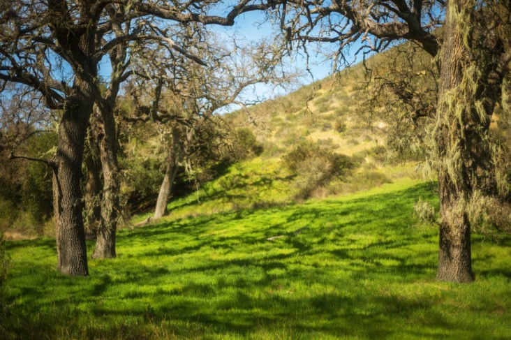 Pinnacles National Park Pinnacles National Park