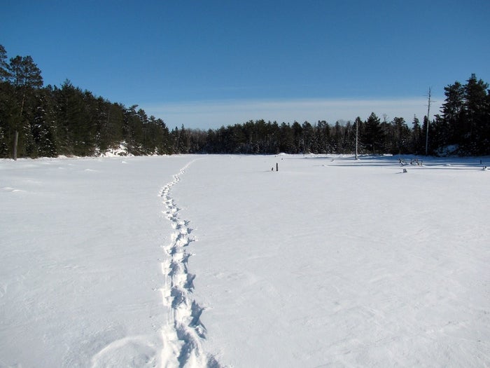 Voyageurs National Park