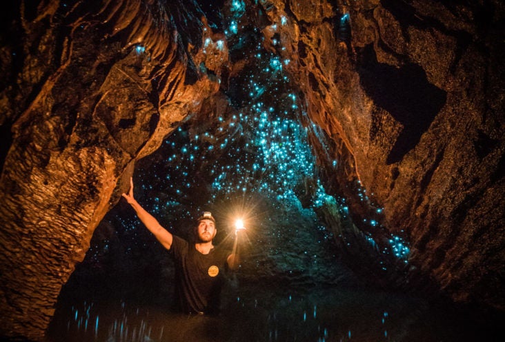 Waitomo Cave New Zealand