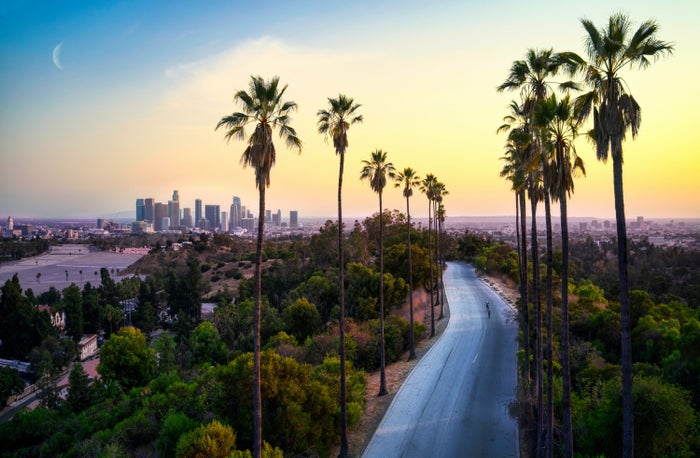 13 Best Hotels in Los Angeles To Book With Points [for Max Value]