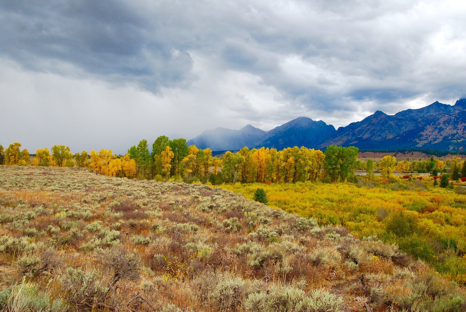 The Best Times To Visit Yellowstone National Park 2020