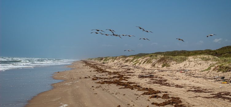 Padre Island National Seashore