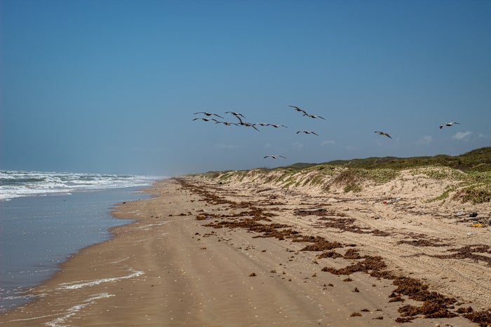 Padre Island National Seashore